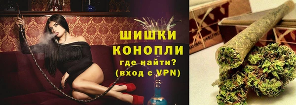 стаф Покровск