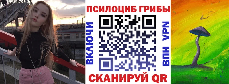 Псилоцибиновые грибы GOLDEN TEACHER  Купить где  Тосно 